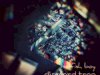 Selfish Boy - Diamond Trap (2019)