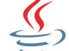 Java SE Runtime Environment v8.0 Update 481