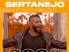 Top 100 Sertanejo - Sertanejos Mais Tocados (2020)