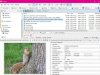 Directory Opus Pro v13.13.1 Beta