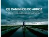 Globo Rural Ed 421 - Novembro 2020