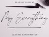 My Everything Font