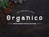 Organico - casual organic font