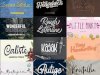 Super Fonts Pack Master Vol. 6 - 40 Fonts
