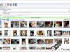 Bulk Image Downloader v6.48 + Portable