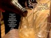 Pérolas do Samba & Pagode (2013)