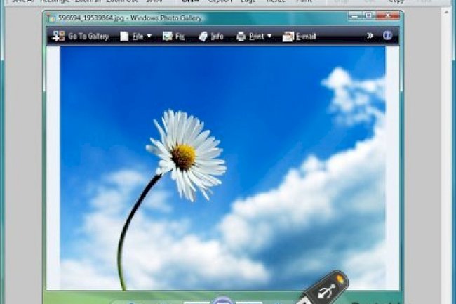 FastStone Capture v11.1 + Portable