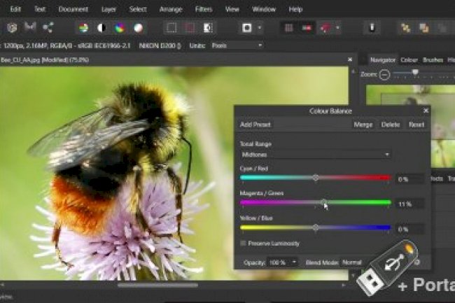 Affinity Photo v2.6.2.3228 + Portable