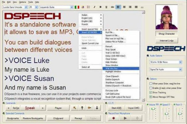 DSpeech 1.73.339