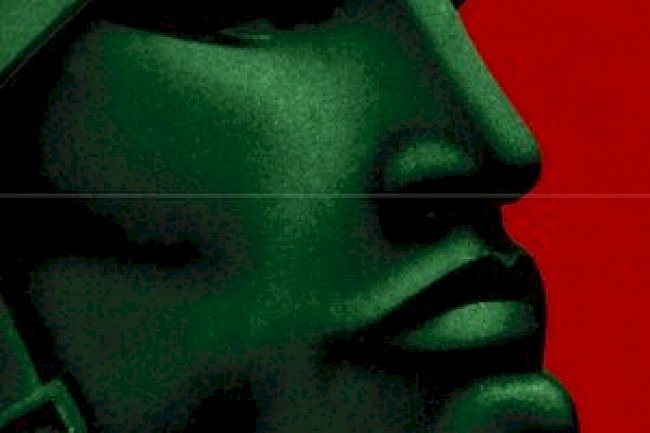 Aventuras na História Ed 203