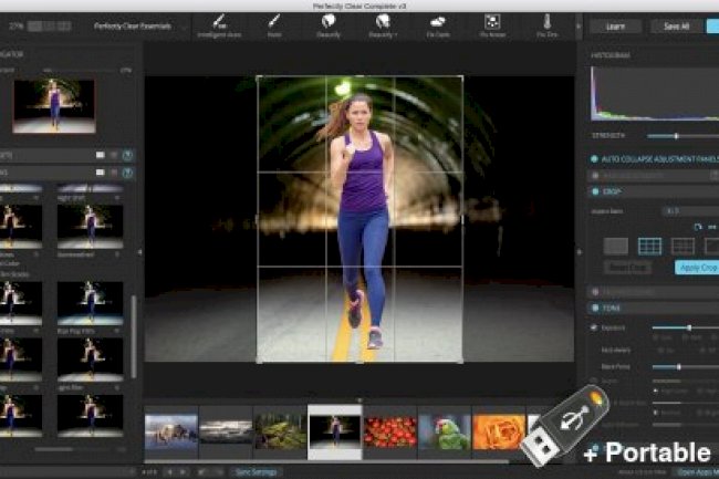 Perfectly Clear WorkBench v4.6.1.2728 + Portable