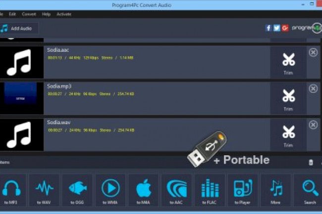 Program4Pc Audio Converter Pro 7.6 + Portable