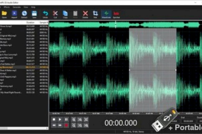Program4Pc DJ Audio Editor 9.0 + Portable