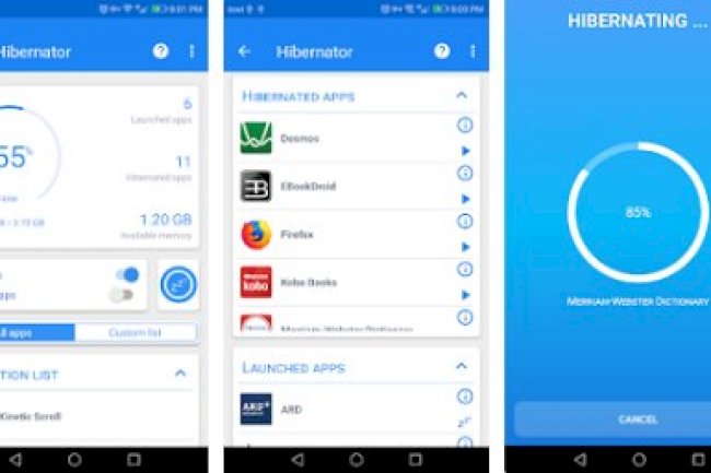 Hibernator v2.55.00 MOD [Premium Unlocked]