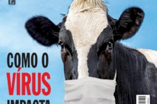 Dinheiro Rural Ed 174 - Junho 2020