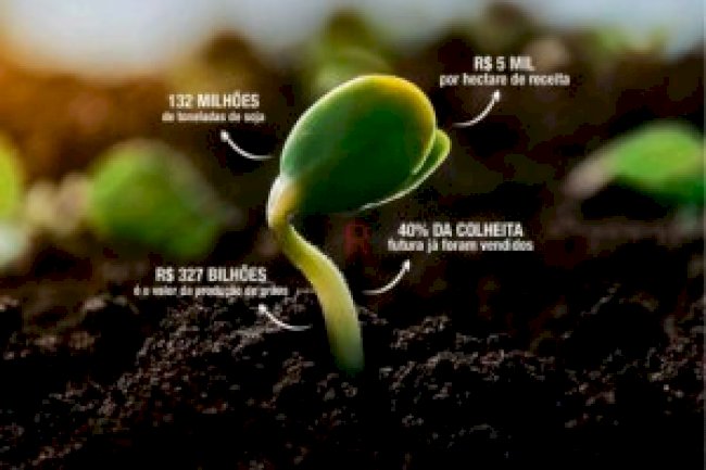 Globo Rural Ed 419 - Setembro 2020