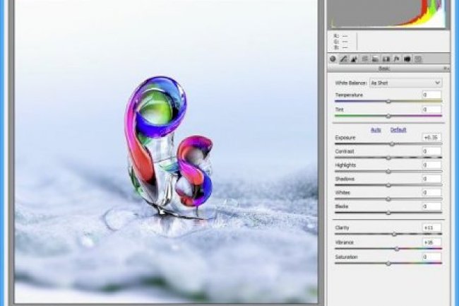 Adobe Camera Raw v17.5