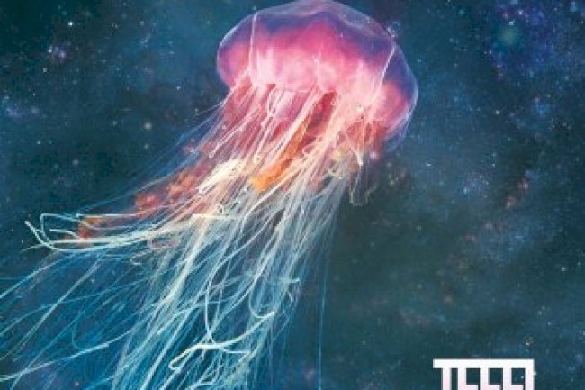 TEEEL - Hydrostatic (2014)
