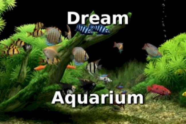 Dream Aquarium 1.293 + Portable