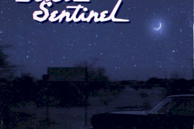 Datalink - Desert Sentinel (2019)