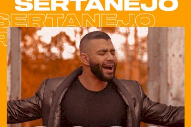Top 100 Sertanejo - Sertanejos Mais Tocados (2020)