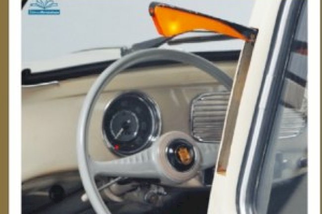 Livro do Fusca - Novembro 2020