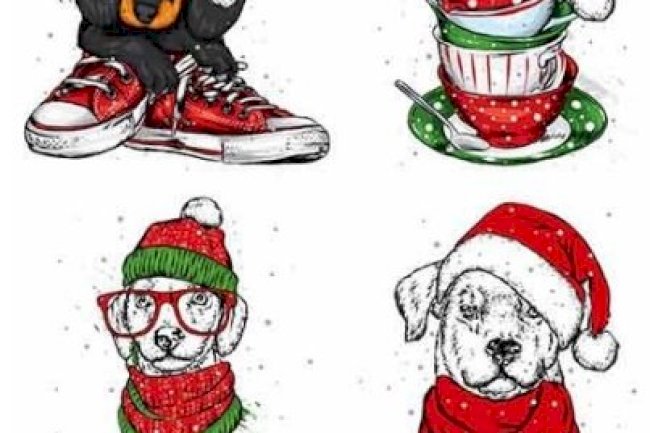 Cute dog in Santa Claus hat New Year and Christmas