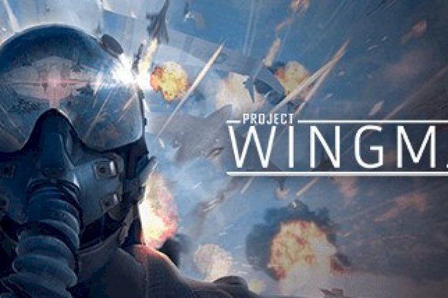 Project Wingman