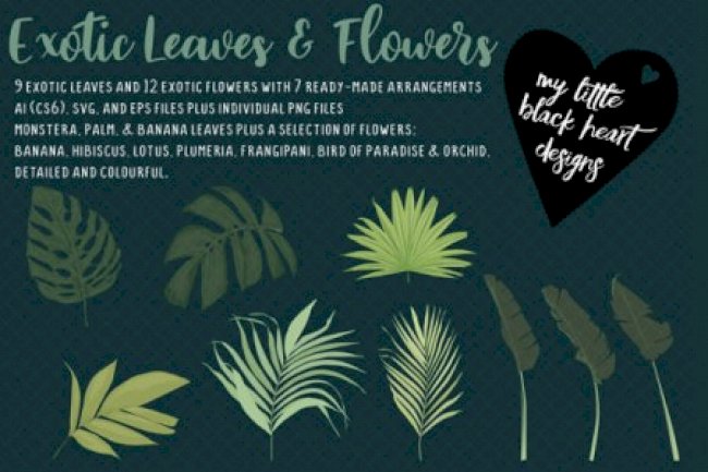 Exotic Leaves and Flowers
