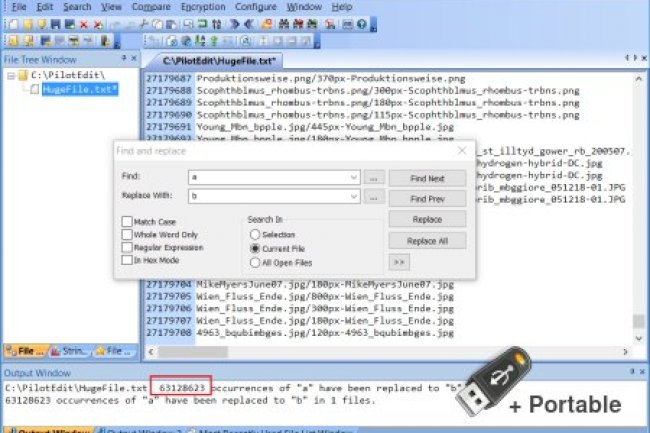 PilotEdit v17.1.0 + Portable