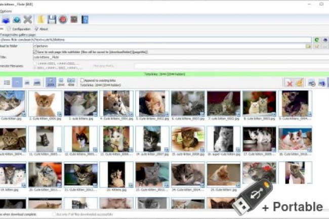Bulk Image Downloader v6.48 + Portable