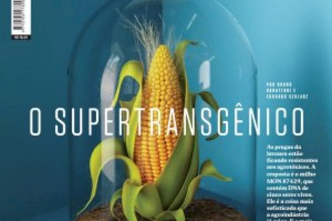 Superinteressante Ed 421 - Novembro 2020