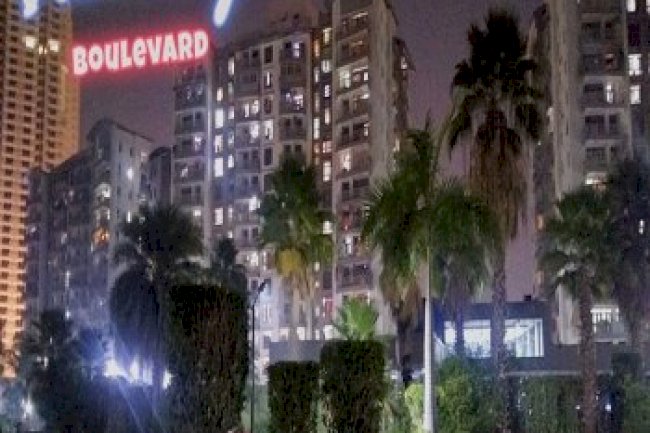 CARLIGHTS - Victory Boulevard (2020)