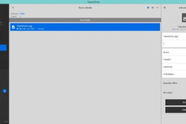 TeamDrive v4.7.4 Build 3178