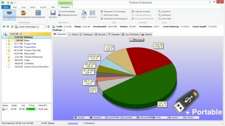 TreeSize Professional v9.1.3.1877 + Portable