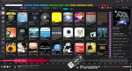 Helium Music Manager Premium v17.0.125.0 + Portable