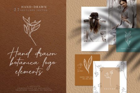 Hand Drawn Botanical Logo Elements