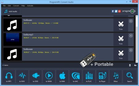 Program4Pc Audio Converter Pro 7.6 + Portable