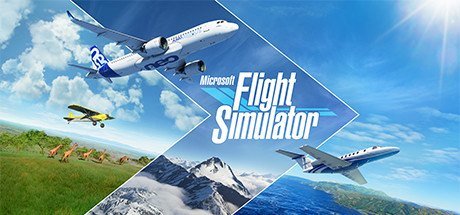 Microsoft Flight Simulator [PT-BR]