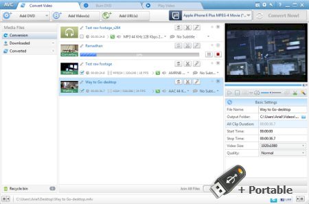 Any Video Converter Professional 7.0.5 + Portable