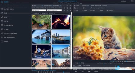 Ashampoo Photo Commander 16.2.1