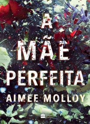 A Mãe Perfeita - Aimee Molloy