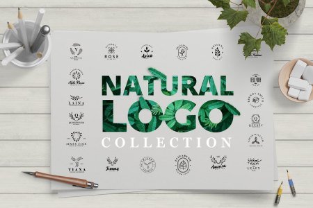 Minimal Leaves Logo Collection