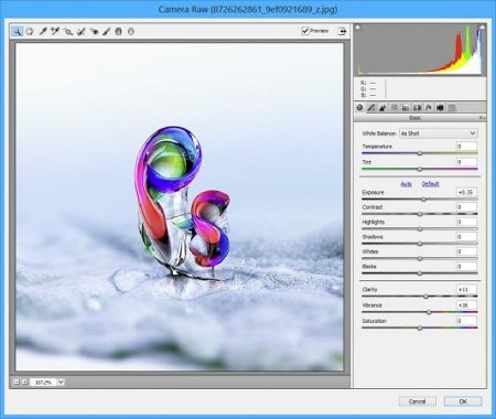 Adobe Camera Raw v16.0