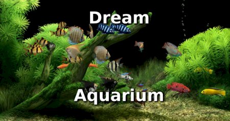 Dream Aquarium 1.293 + Portable