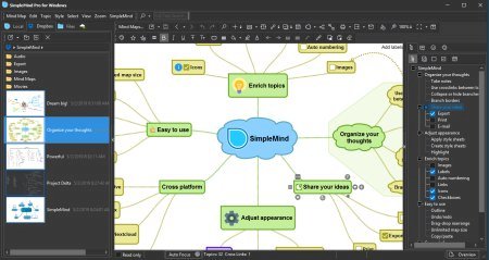 SimpleMind Pro v2.1.1 + Portable