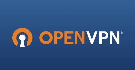 OpenVPN v2.6.9.1001