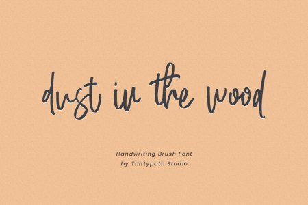 Dust in the wood font