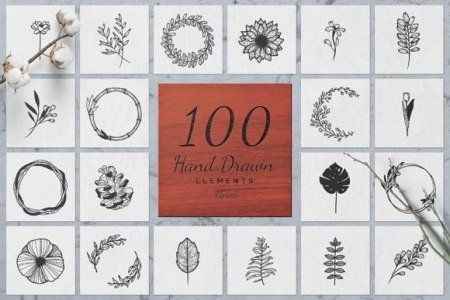 100 Hand Drawn Elements Floral