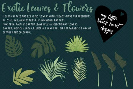 Exotic Leaves and Flowers